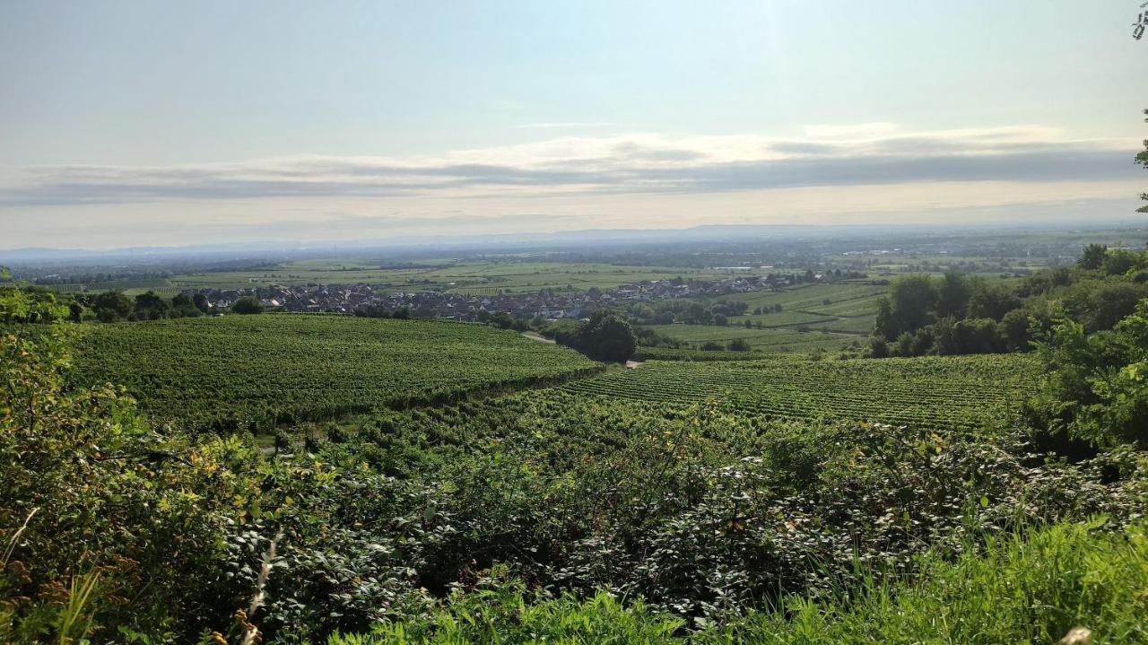 Hotel Speeter Weisenheim am Berg Exteriér fotografie